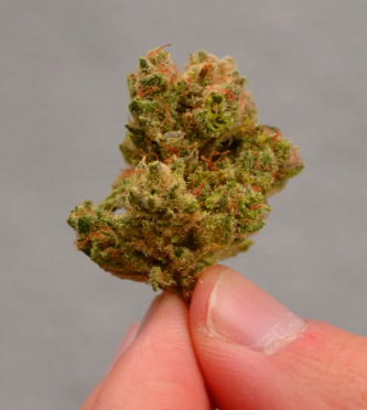 Buy Weed Online: Uncover Canadian Excellence