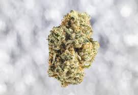 Exploring the Benefits of Canada’s Online Cannabis Dispensaries