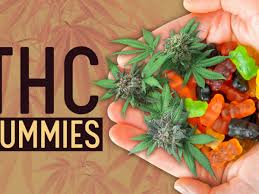 Comparing Different Types of THC Gummies – Which One is Right For You?