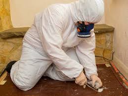 How an Asbestos Survey Protects Your Property