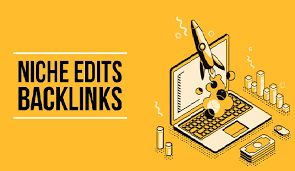 High Traffic Niche Edit Links for Explosive SEO Growth